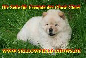 Of Yellowfield-Chows